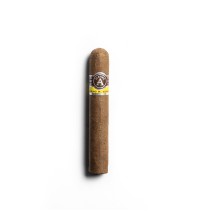 Aladino Corojo Robusto Cigar - 1 Single